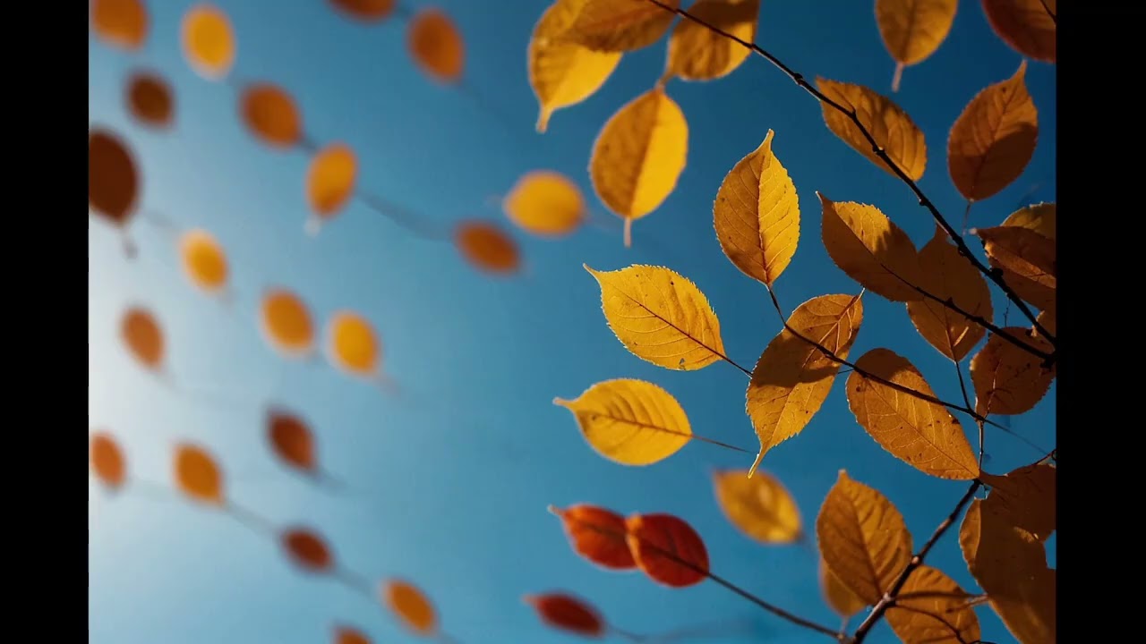 Whispers in the wind