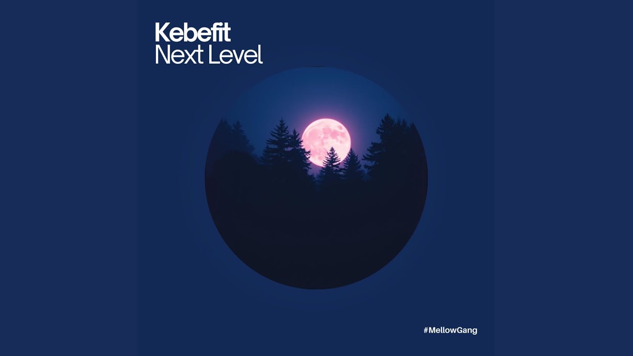 Next Level (Original Mix)