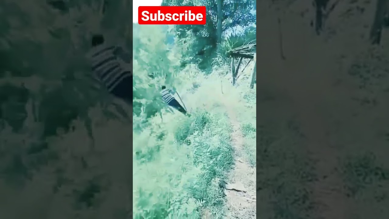 funny |clean stand up comedy | stand up comedy 