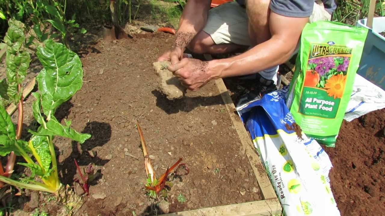 1 of 3: Planting Radishes/Preparing the Soil and Seed Spacing: My 1st Vegetable Garden - MFG