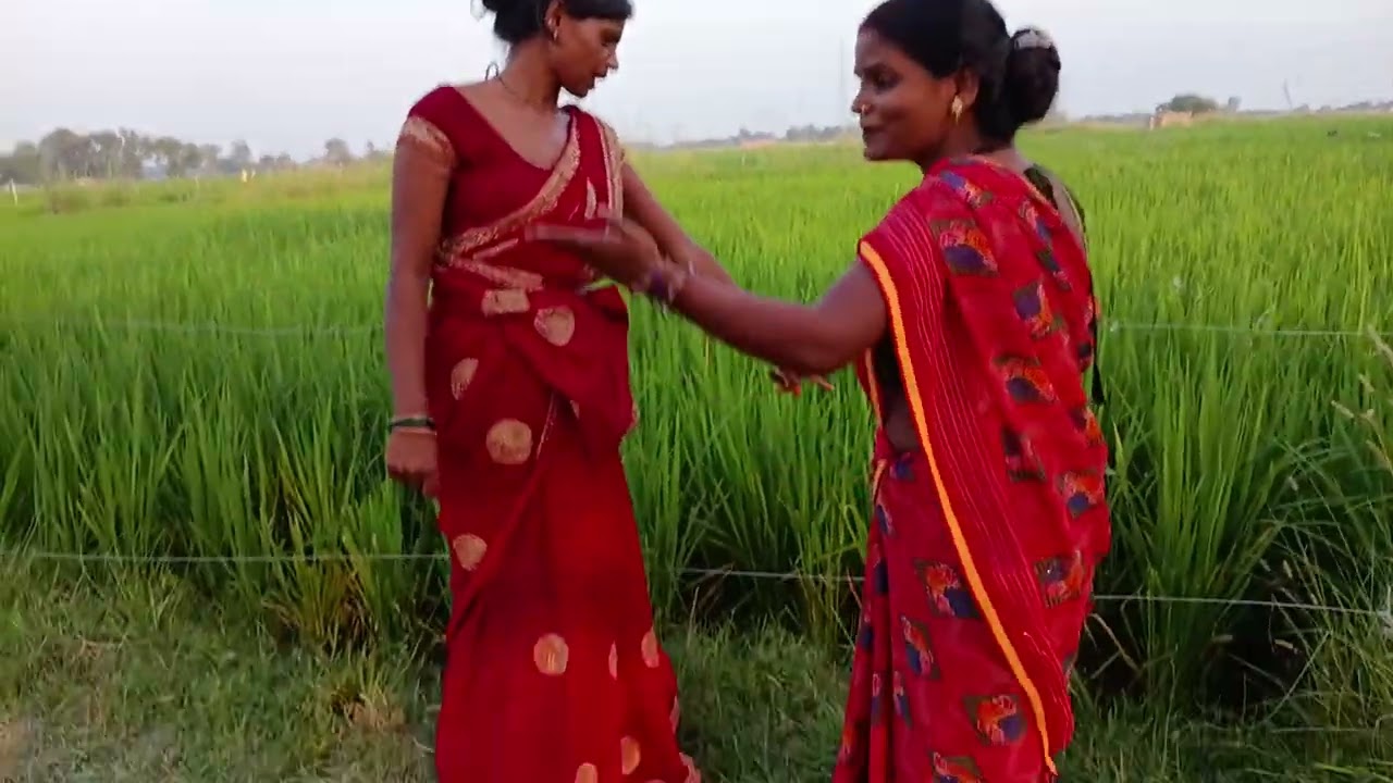धान के बारे में झगड़ा हो रही है प्लीज इस वीडियो को पूरा देखि😭🥹👍😛😬😆ए