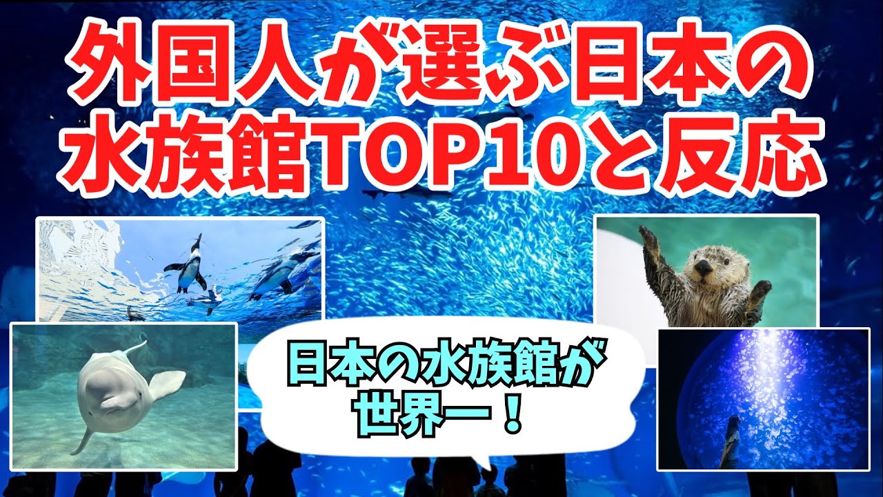 【海外の反応】「日本は次元が違う」外国人が感動した日本の水族館TOP10とその反応