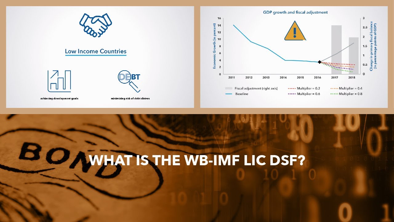 What is the WB-IMF LIC DSF?