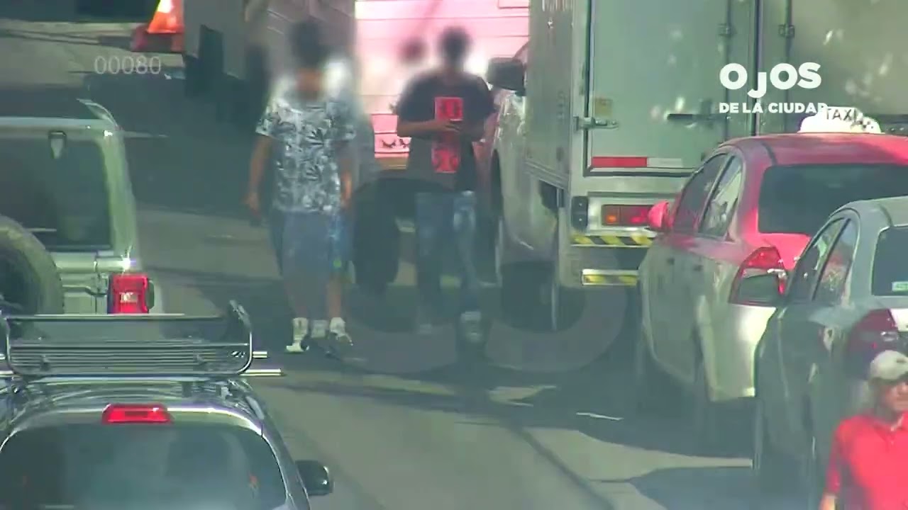 Casos Relevantes 25 - 31/10/25 | #C5CorazónDeLaCDMX