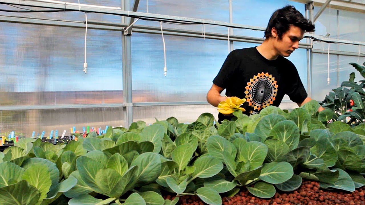How Gardening Enables Interdisciplinary Learning