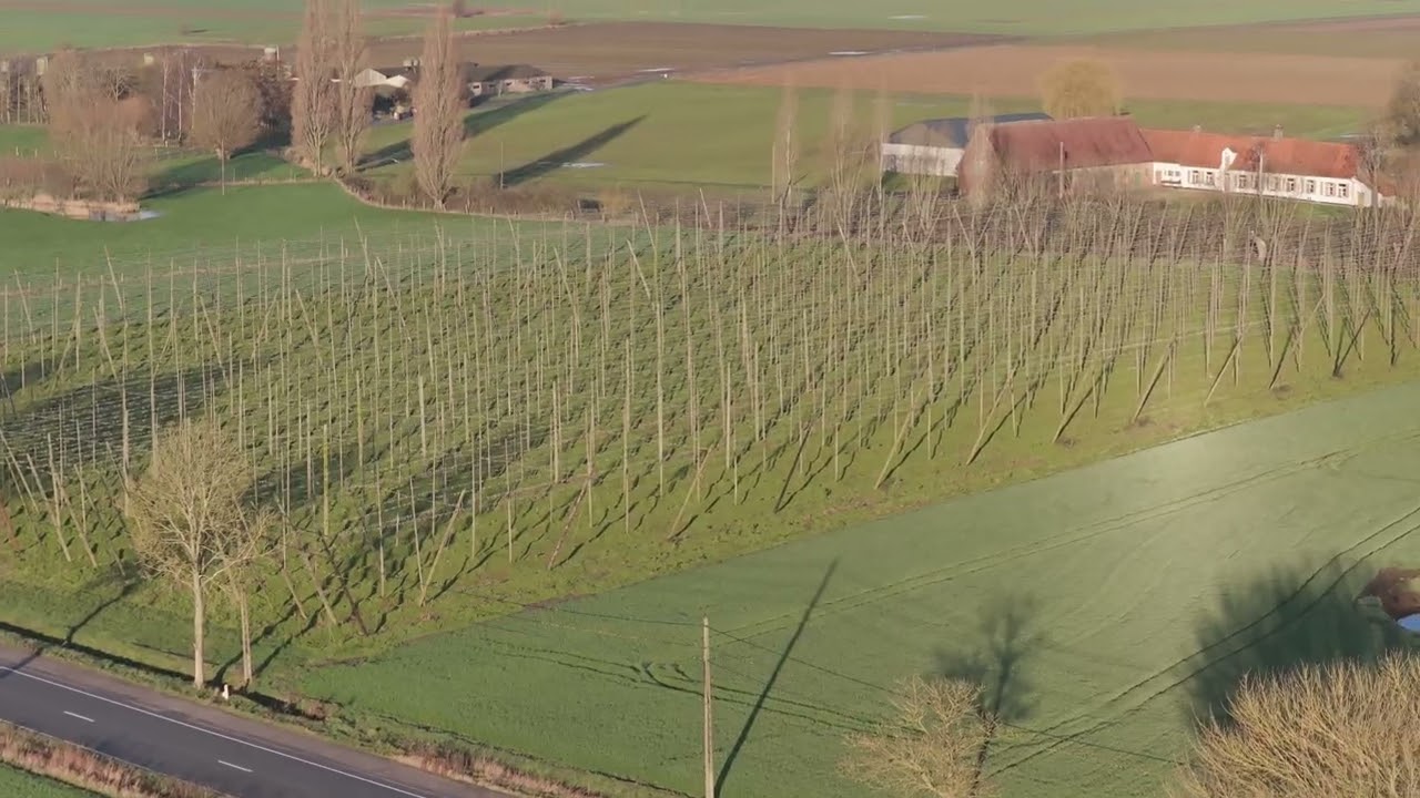Dronebeelden van de Hopperanken in Poperinge.