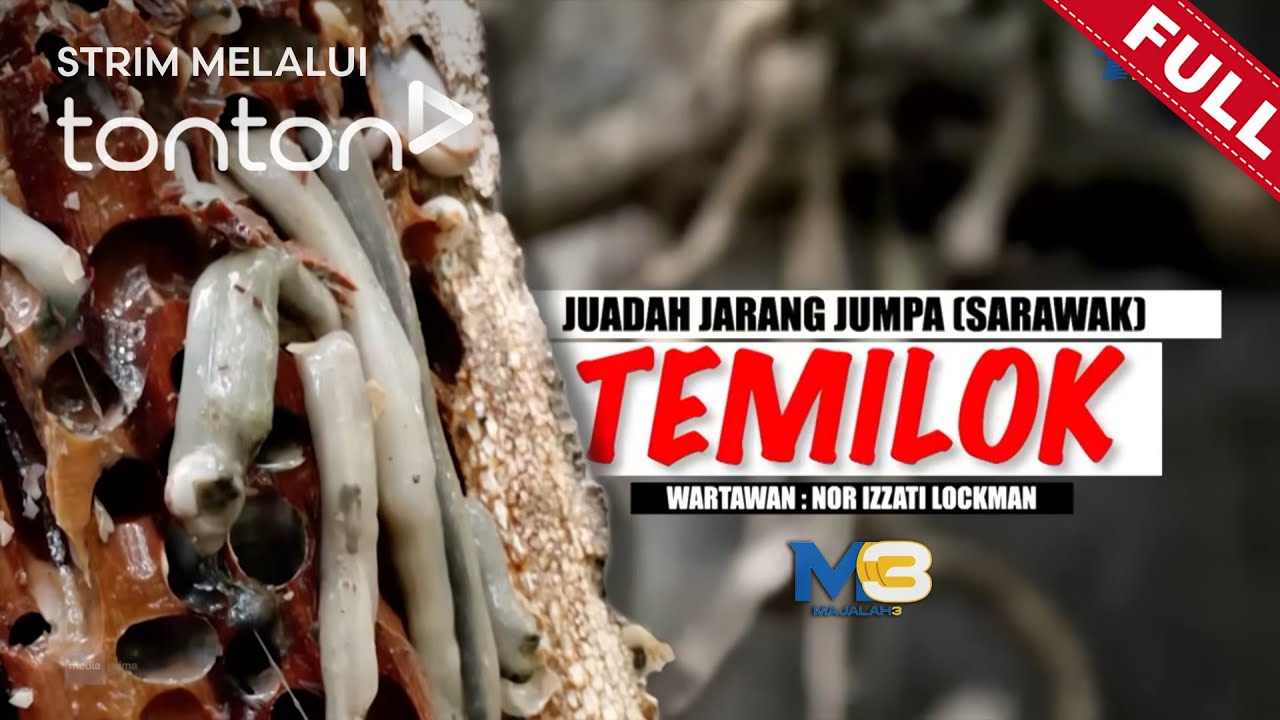 [FULL] Majalah 3 (2024) | Mon, Dec 9 - Juadah Jarang Jumpa (Sarawak) : Temilok | Tonton