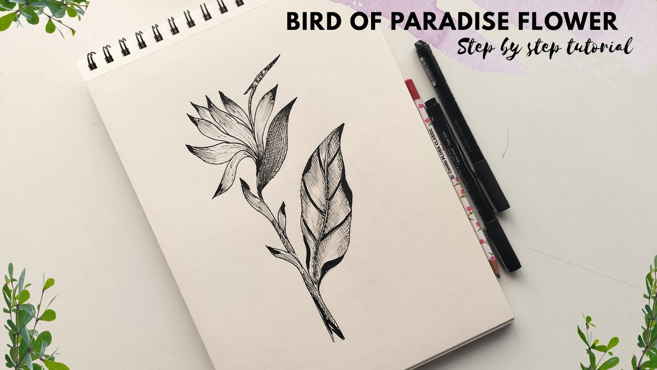 How to draw a Bird of Paradise. Easy flower drawing tutorial for beginners. Pen drawing.