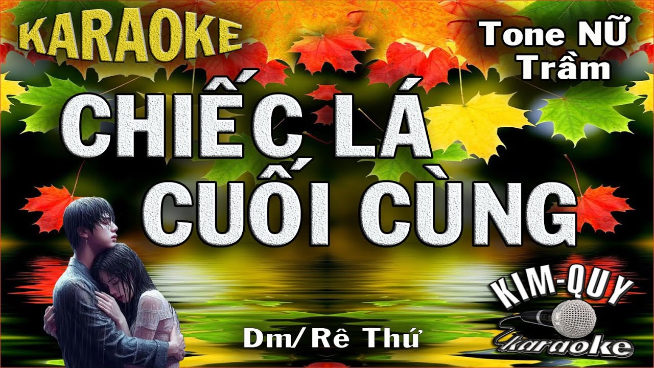 Karaoke CHIẾC LÁ CUỐI CÙNG (Tuấn Khanh) Slow Ballad - Tone NỮ Trầm (Dm/Rê Thứ)