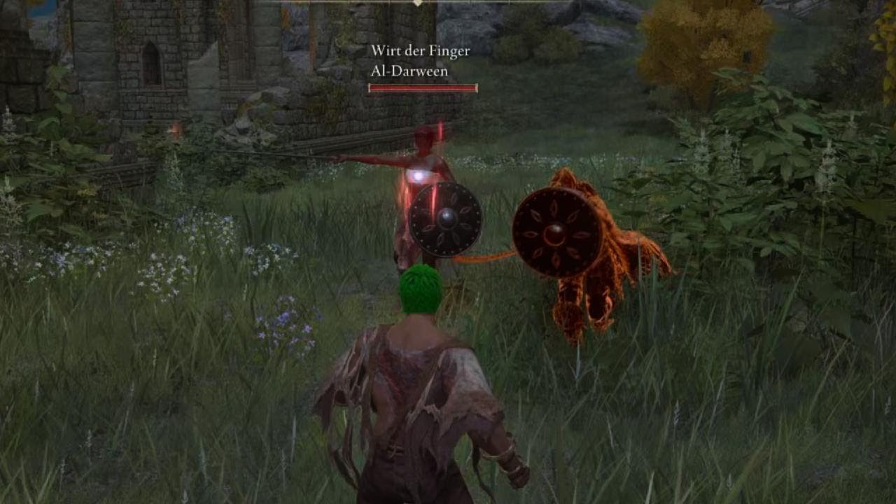 ELDEN RING Invasion LvL 1 vs The World