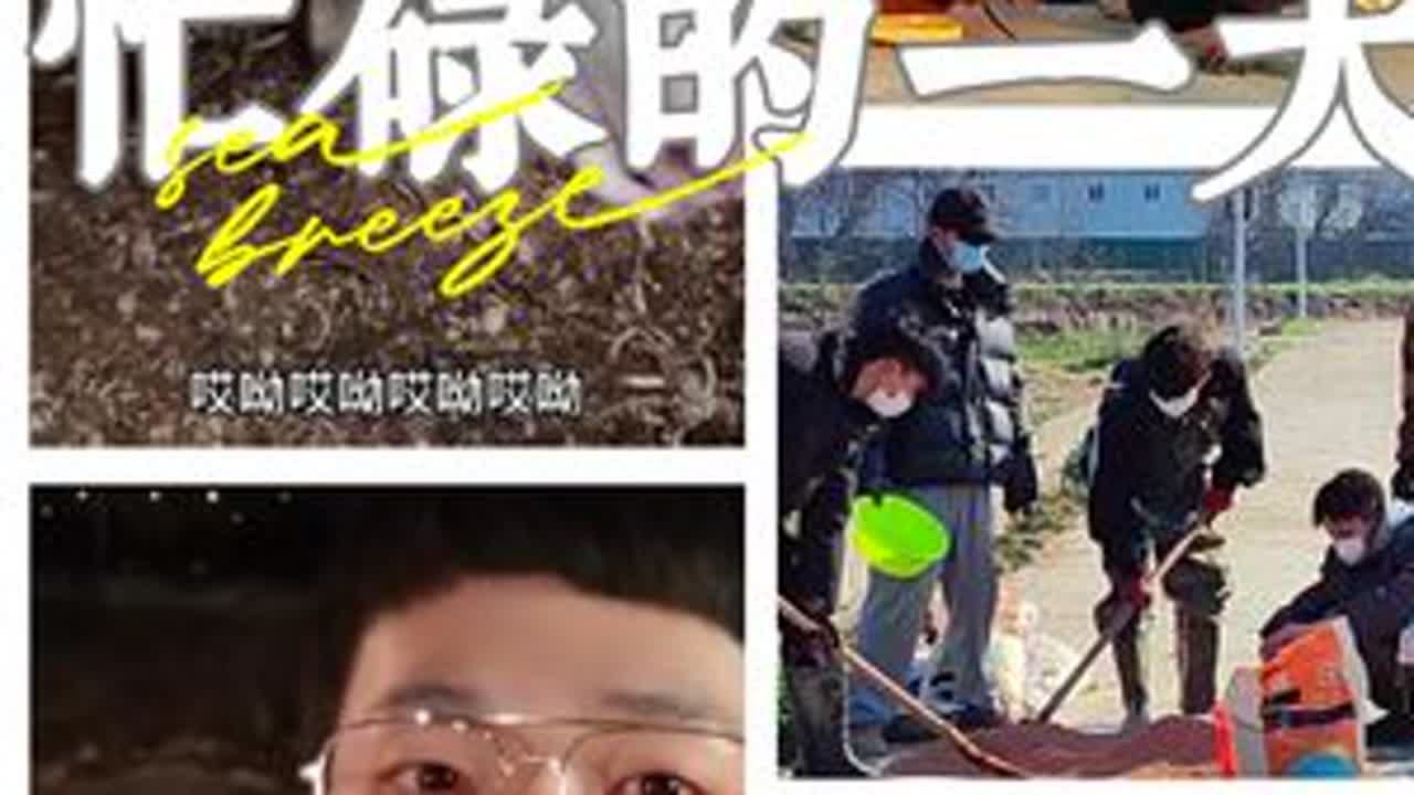 种地vlog day87合集‖2023.2.15，小麦补种；养殖组焊食槽架；基建组出发砍竹子；种植组蔬菜补肥，土地旋耕（今天以红包的vlog结尾)#种地吧少年