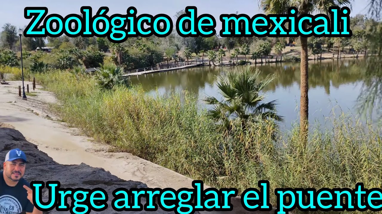 La parte del bosque que no se visita, mexicali bc 