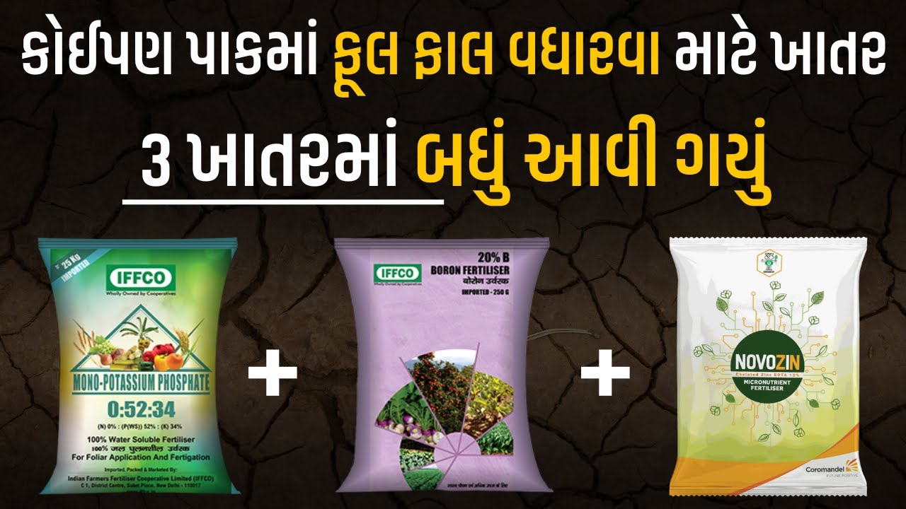 ફૂલ ફાલ માટે બેસ્ટ 3 ખાતરો । Best Flowering Fertilizer @KhedutPathshala