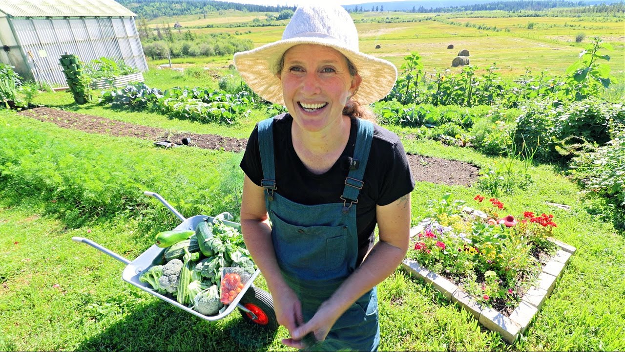 Daily BULK Garden Harvest →Preserved! | Canning, Freezing & Freeze-Drying