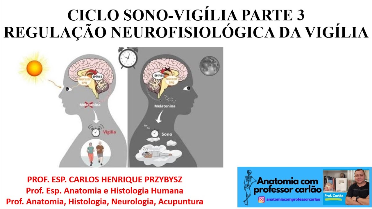 VÍDEO AULA CICLO SONO VIGÍLIA PARTE 3 - REGULAÇÃO NEUROFISIOLÓGICA DA VIGÍLIA