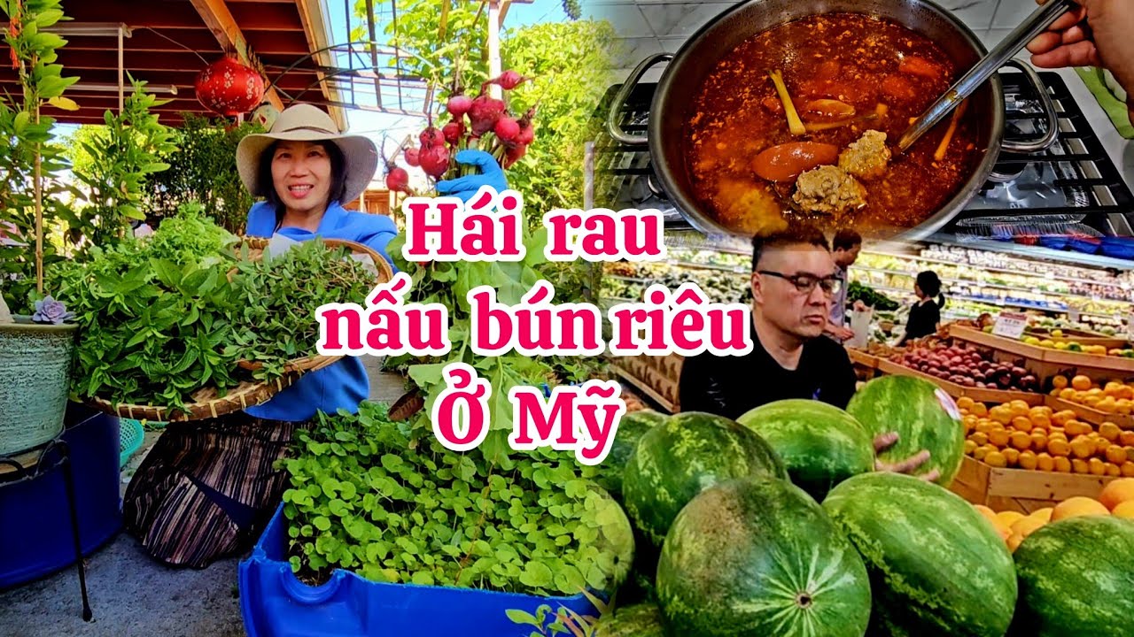 Nấu bún riêu, thu hoạch hết vườn rau cải nhà Thảo ở Mỹ