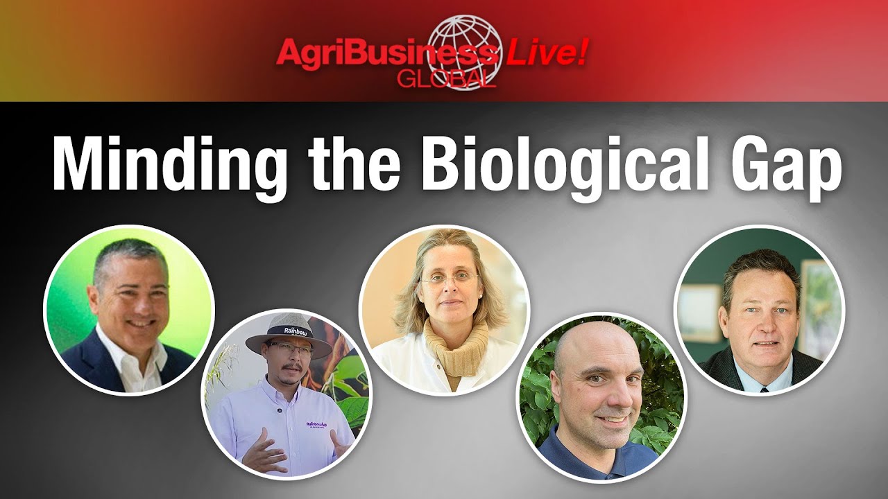 Minding the Biological Gap