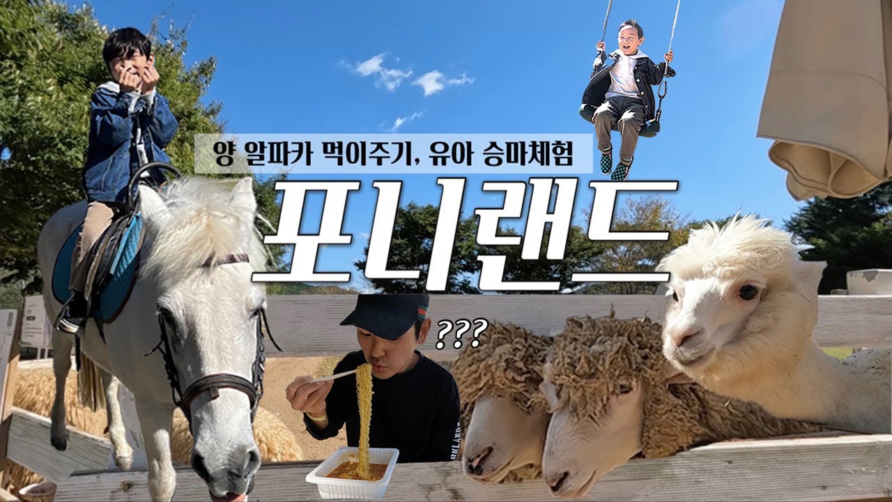 울산 포니랜드에 승마체험 다녀왔어요🐴🐎 | 양,알파카 먹이주기🥕 | 오픈런해서 점심까지 세시간 순삭 코스 !!
