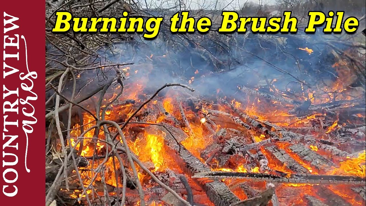 Burning the Brush Pile