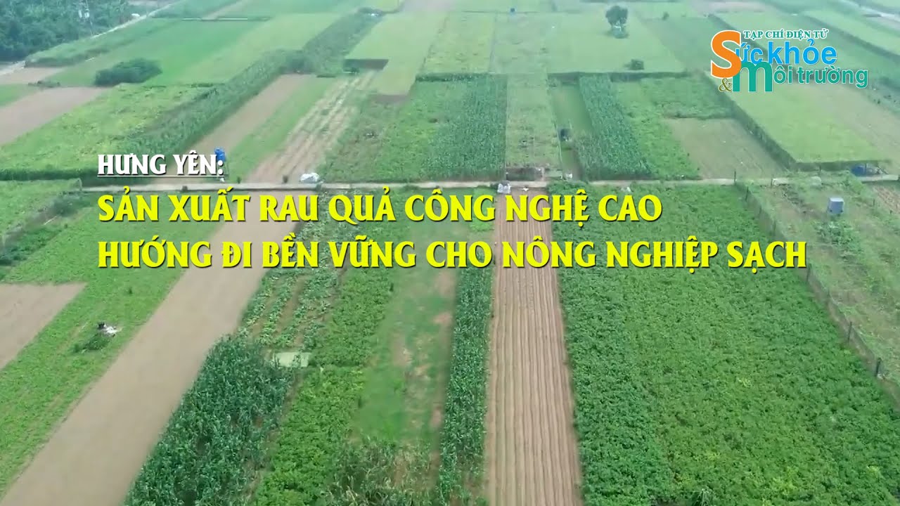 Hưng Yên sản xuất rau quả công nghệ cao hướng đi bền vững cho nông nghiệp sạch
