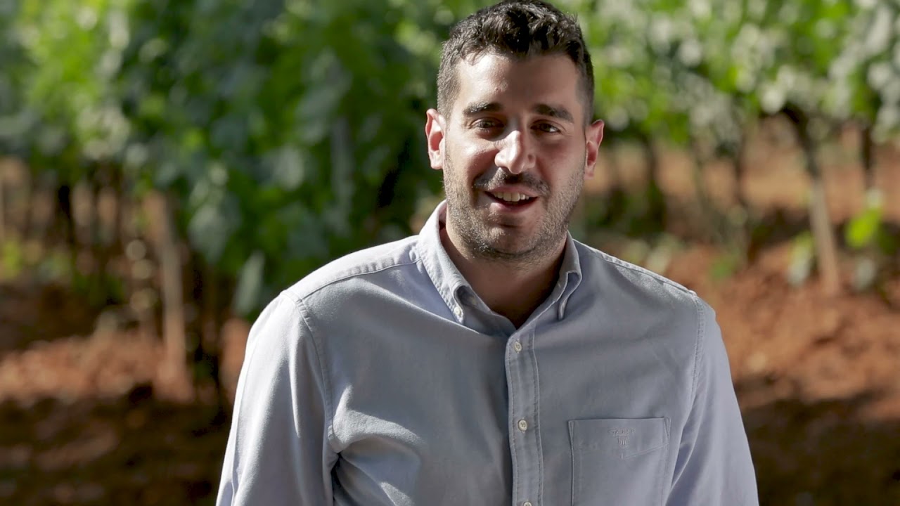 Άρης Τσέλεπος, οινολόγος