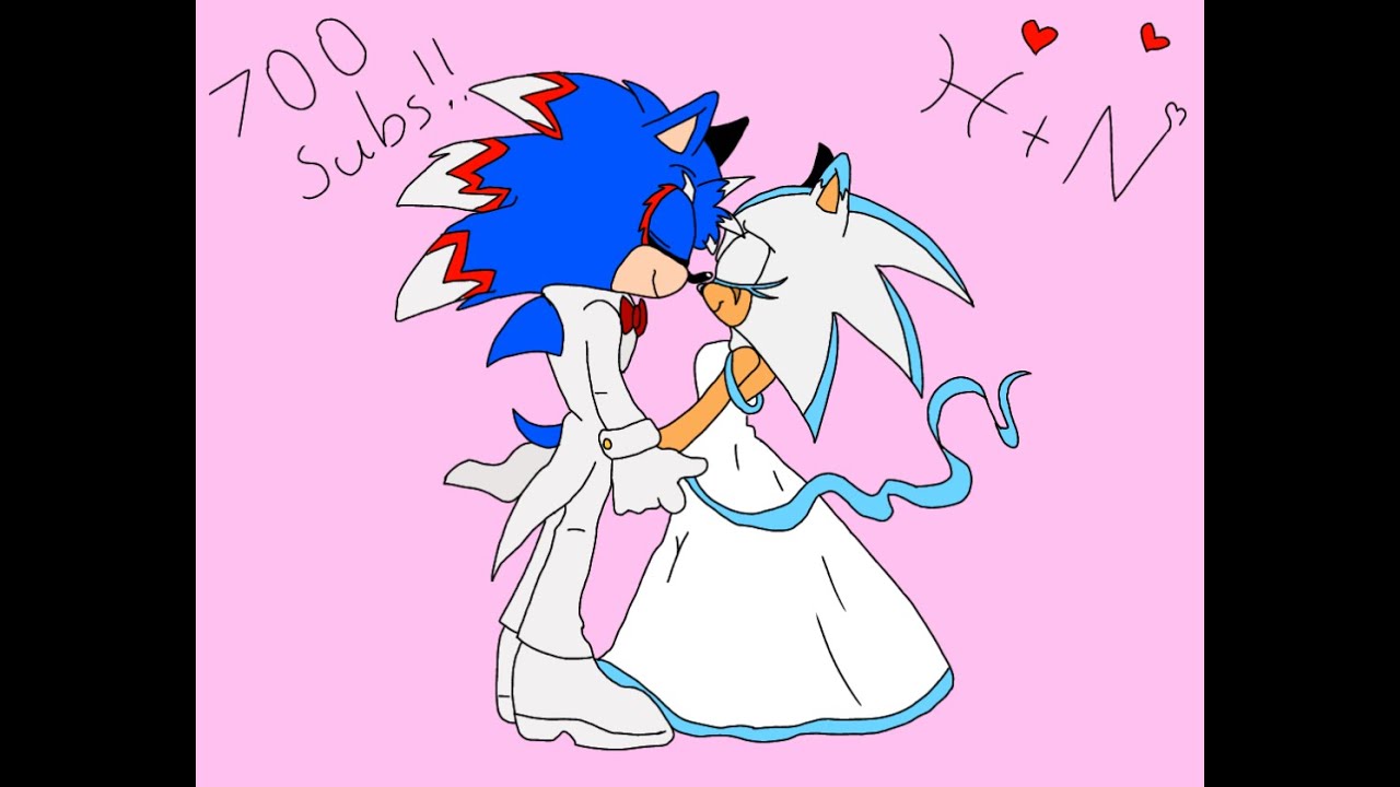 Hawk Sonic 700 Sub Special: Hawk x Nova Wedding (Vrchat)