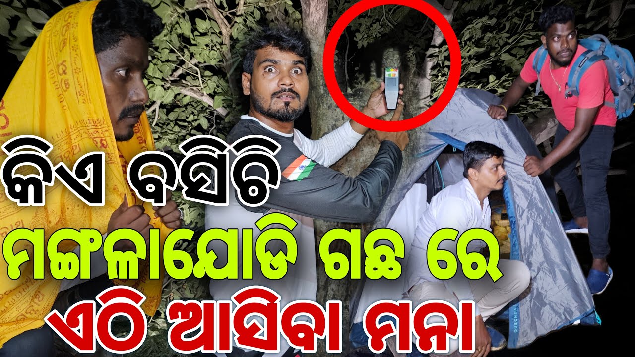 କିଏ ବସିଚି ଉପରେ ଭୁତିଆ ଗଛ ☝️#611
