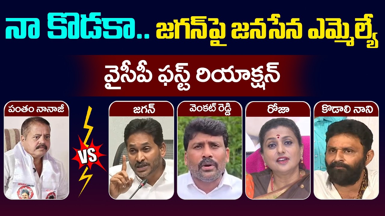 YCP Leaders First Reaction on MLA Pantham Nanaji Comments | Kodali Nani  | RK Roja | YCP vs TDP