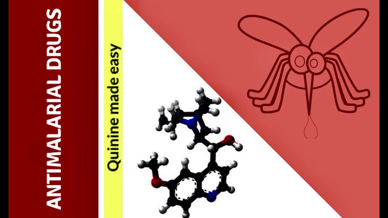 Antimalarial drugs ;quinine made easy
