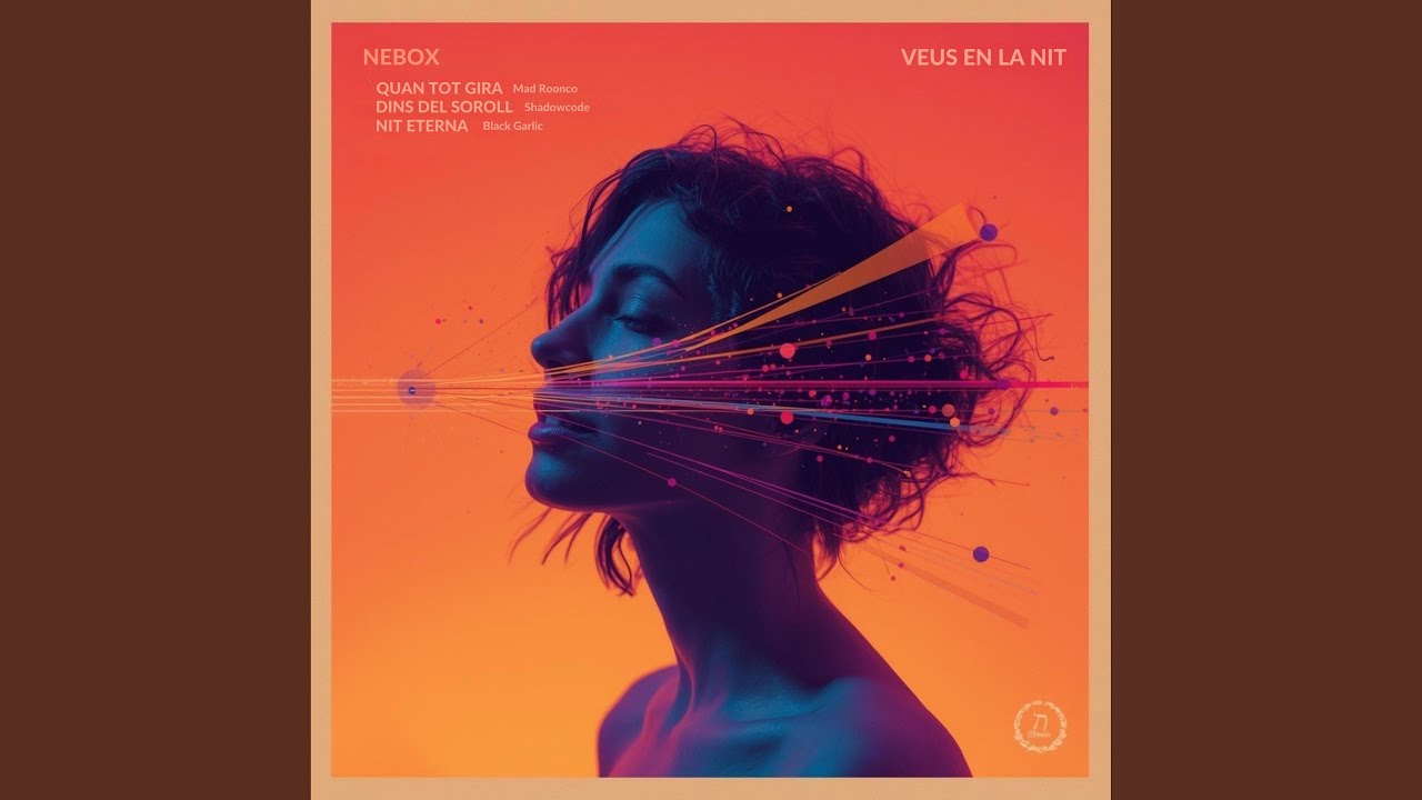DINS DEL SOROLL (feat. NEBOX & SHADOWCODE)