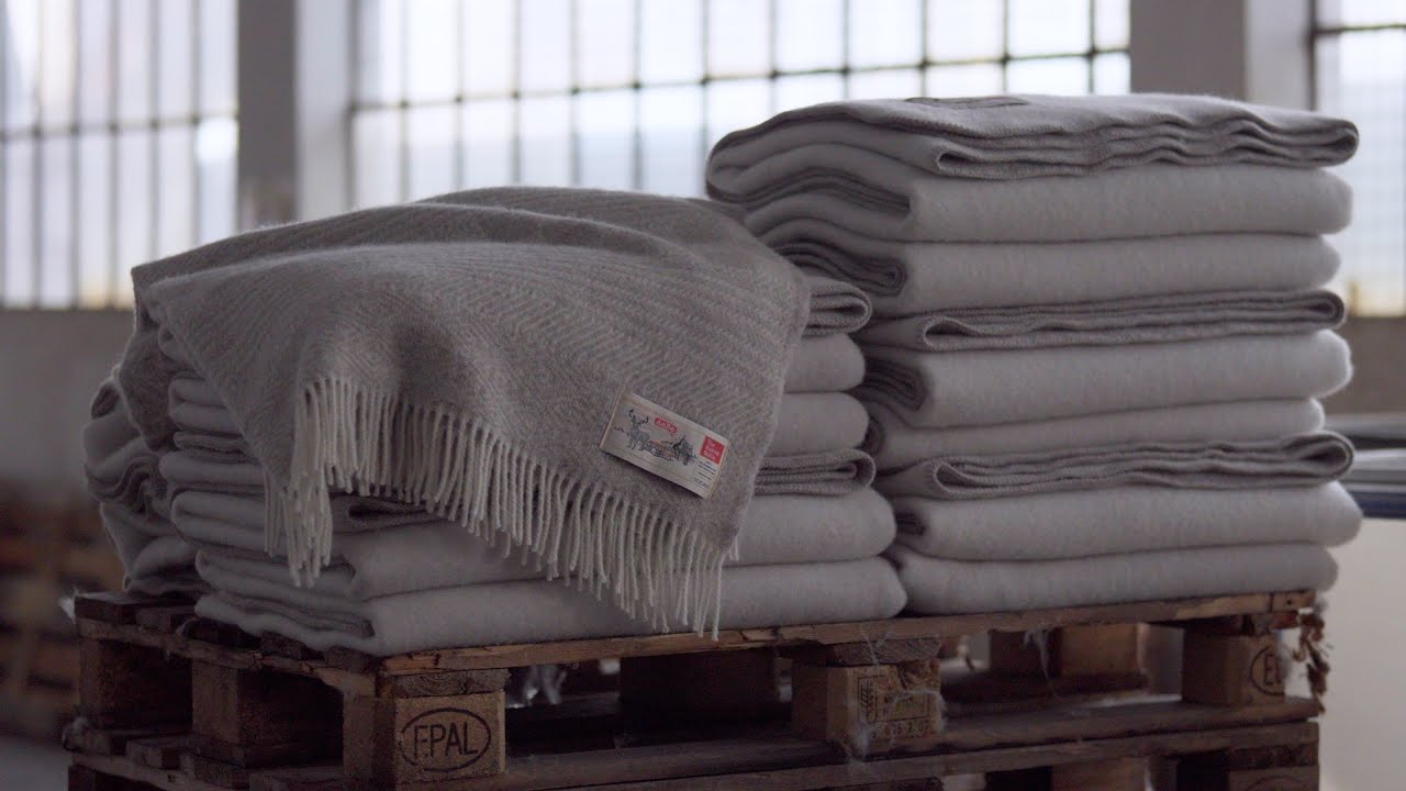 Micro Docu  NL : The Knitwit Stable x AaBe wollen deken van Kempisch heideschaap