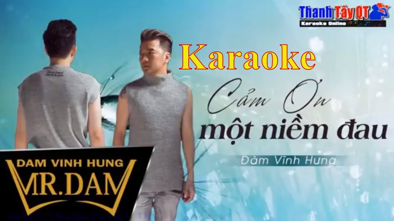 Karaoke Cám Ơn Một Niềm Đau - Đàm Vĩnh Hưng