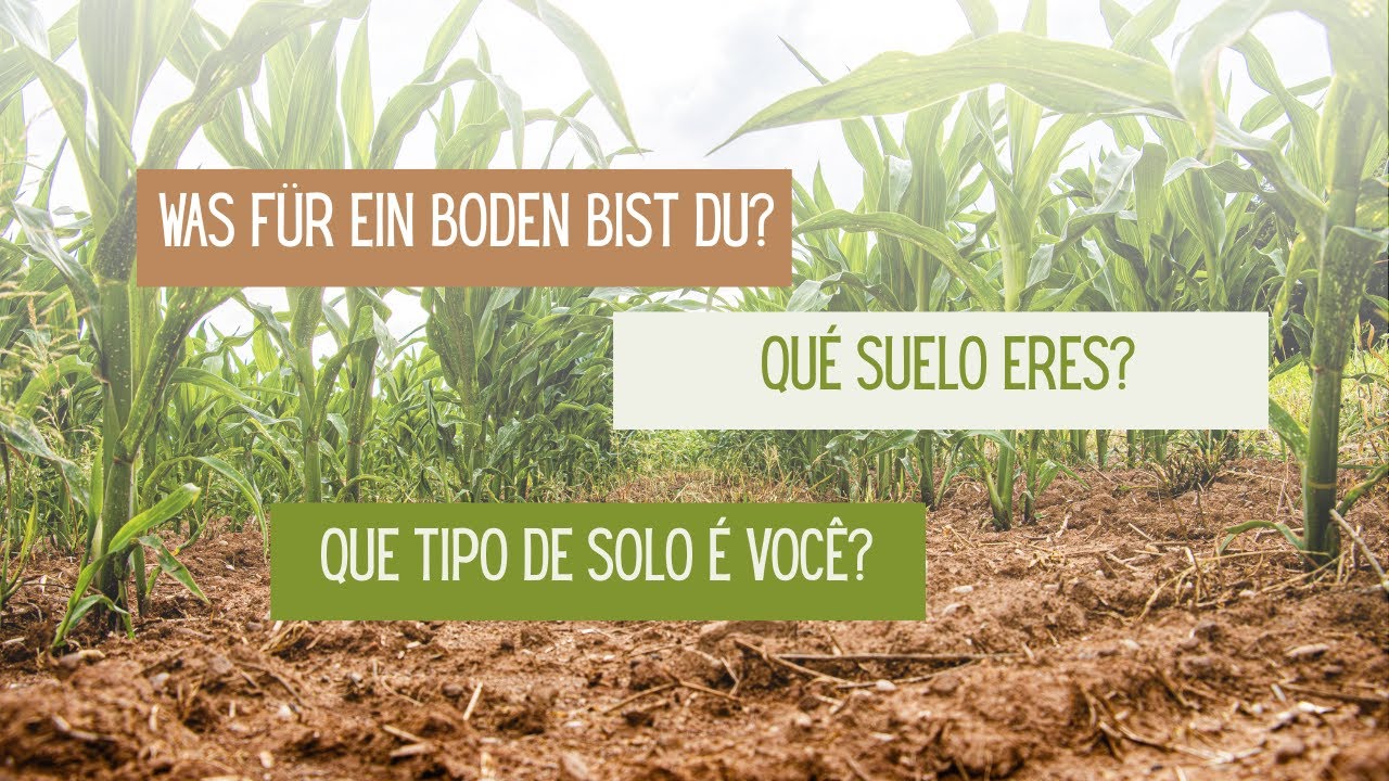 🔵SONNTAG-DOMINGO 26.10.25🔵✔️Was für ein Boden bist du? ✔️Qué suelo eres? ✔️Que tipo de solo é você?