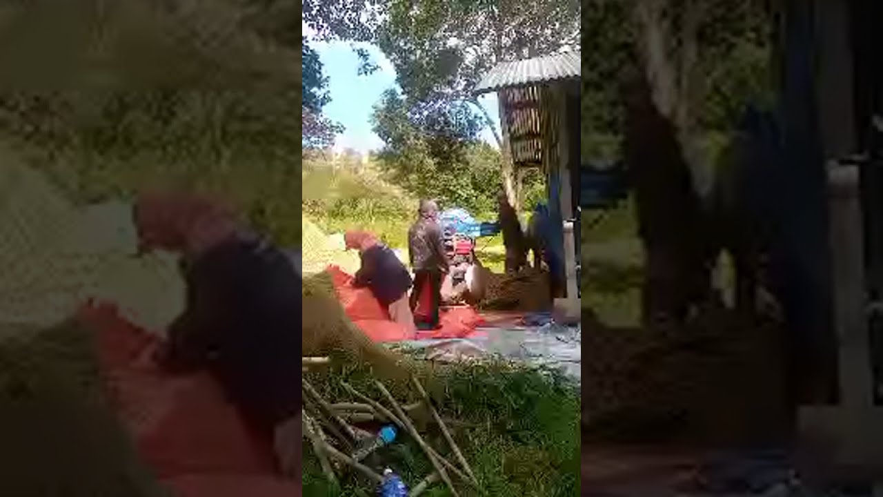 ປັ້ນເຂົ້ານຳກັນເດີกำลังถ่ายทอดสด!