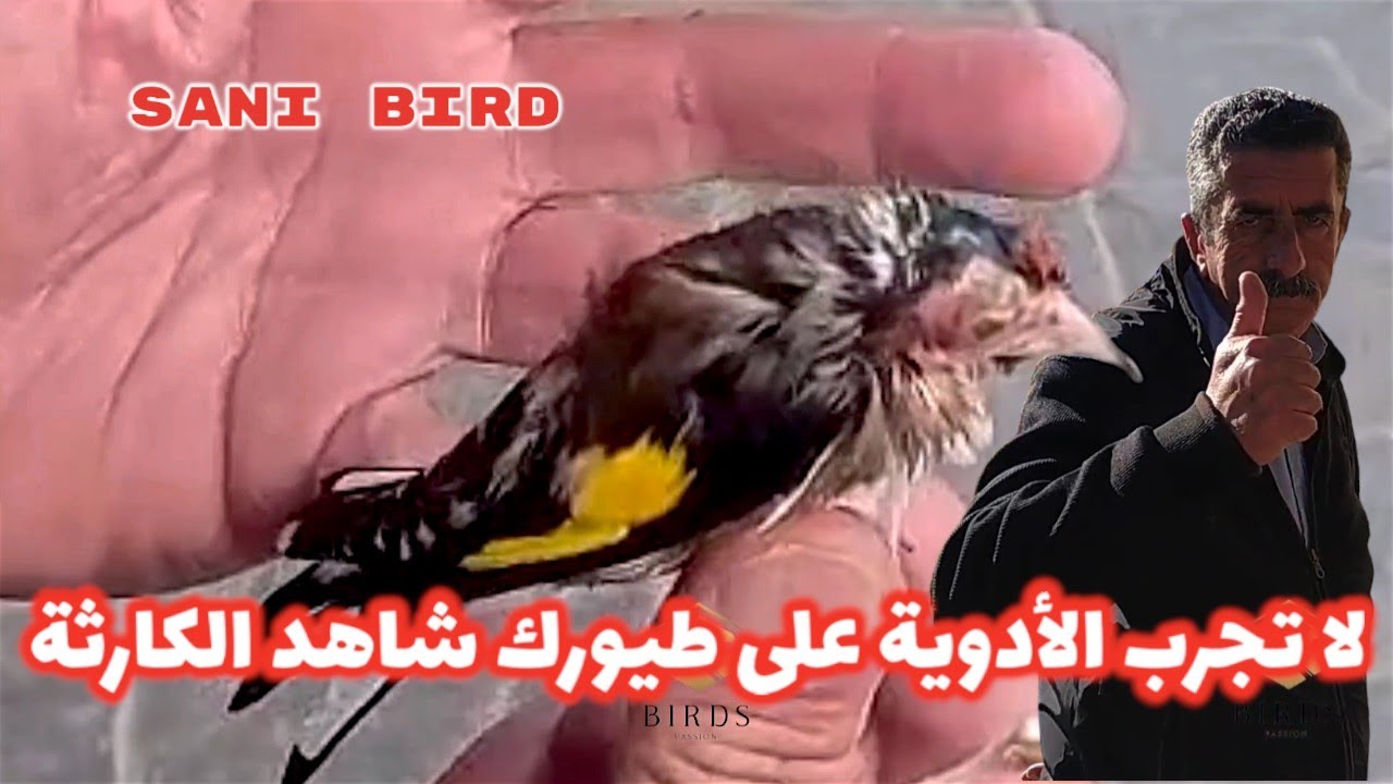 🔴 مباشرة مع عمي رابح الحراش كاين السوفاج 0778263026