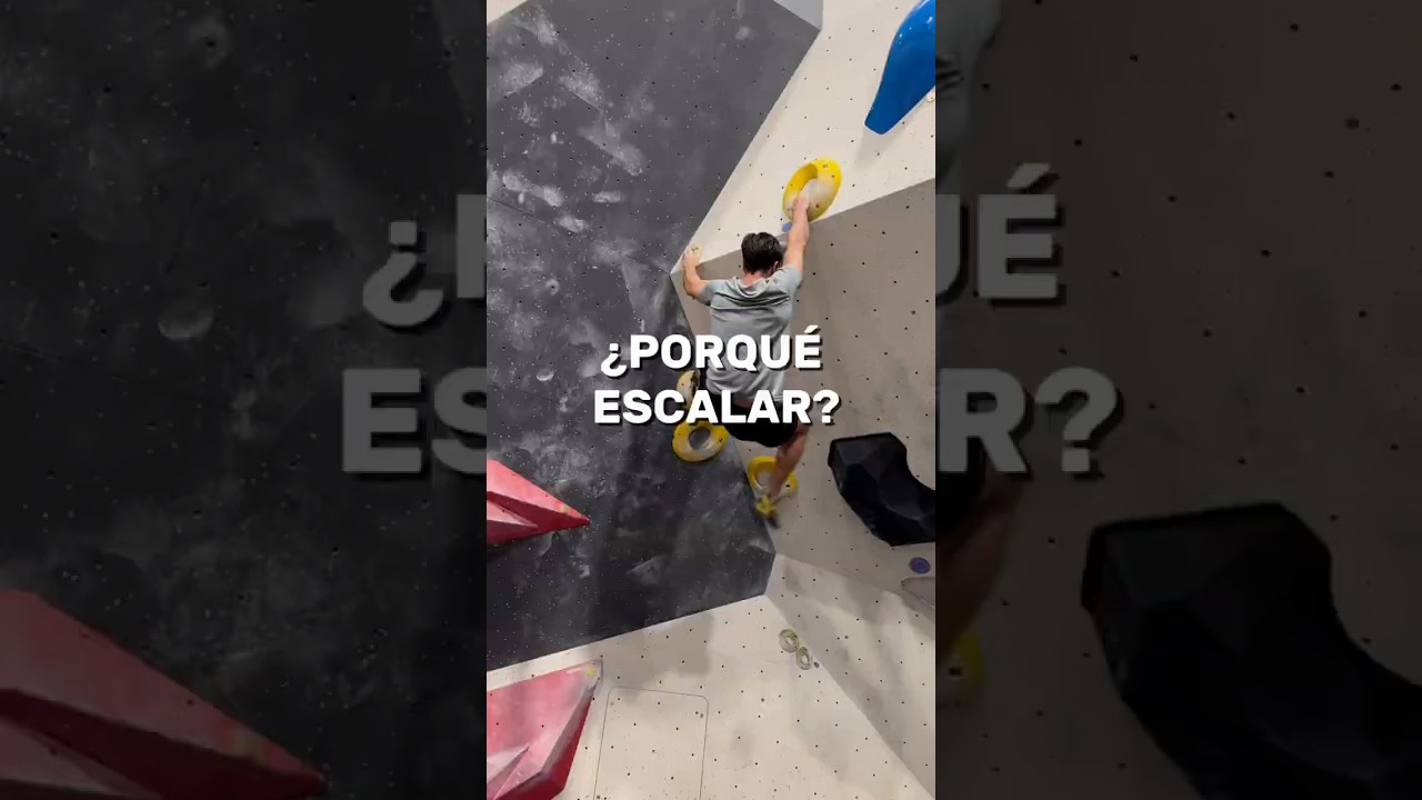 ESCALADA: el mayor beneficio 🧠🏆#rocodromo #sputnik #toniwildfit #motivacion #escalada #deporte