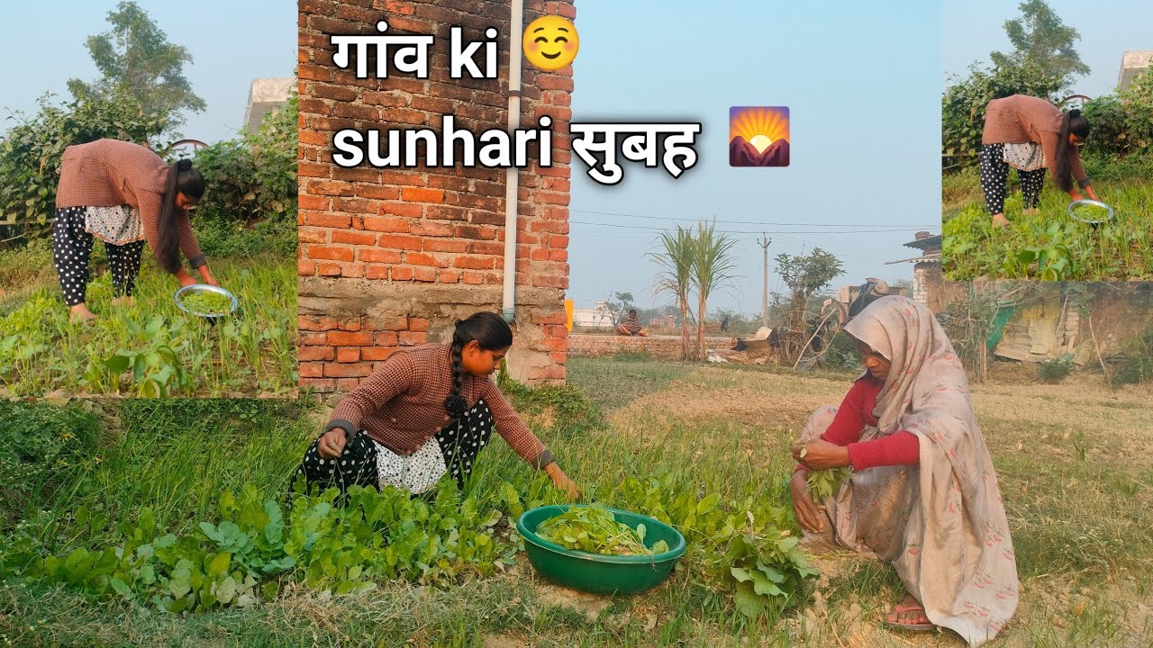 🌺गांव की सुनहरी ठंड | Morning Routine Villege Natural Life |subah ke Lunch me nenua ki Sabji Chawal