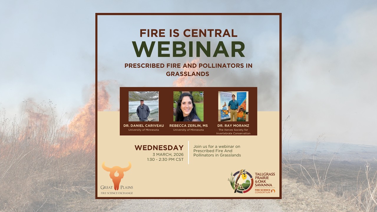 Fire is Central: Prescribed Fire And Pollinators in Grasslands
