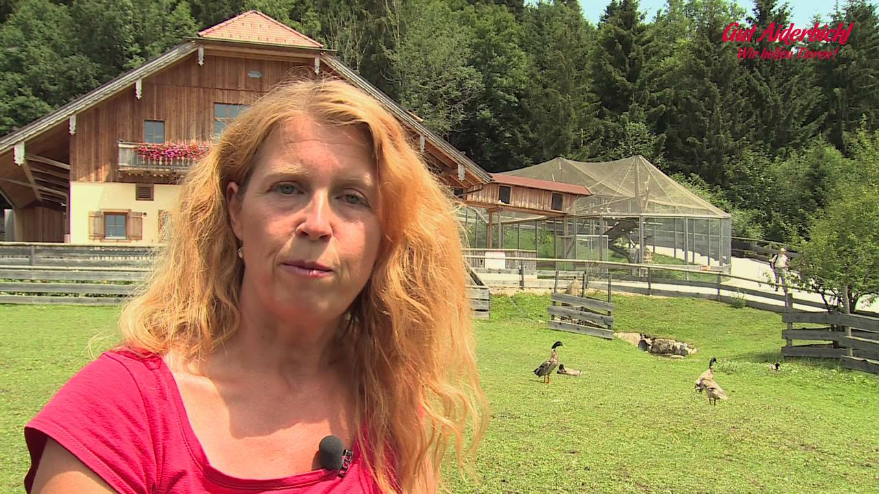 Gut Aiderbichl - Eselpflege mit Friederike