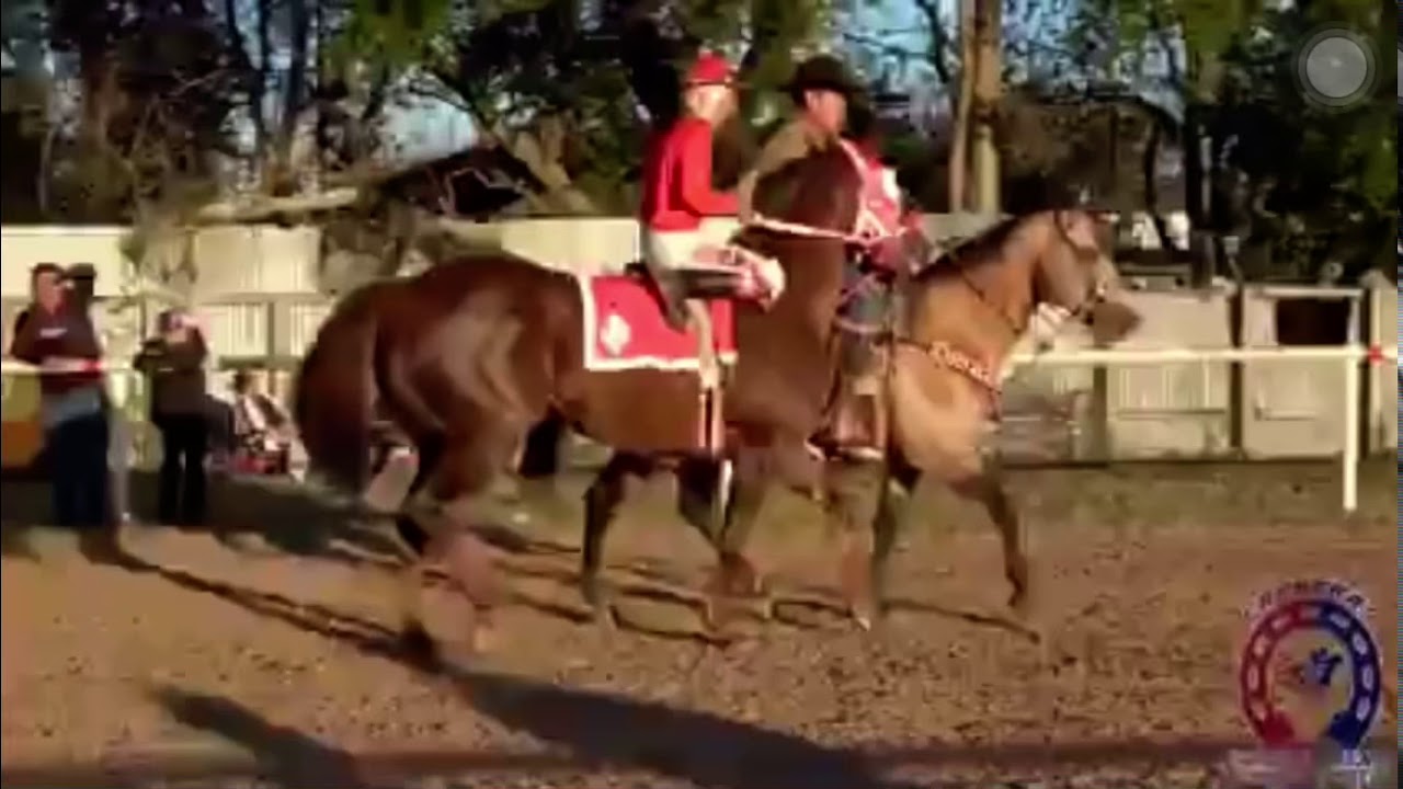 El Cómico Cuadra Macías - Oscar Solís y Su Banda Magistral