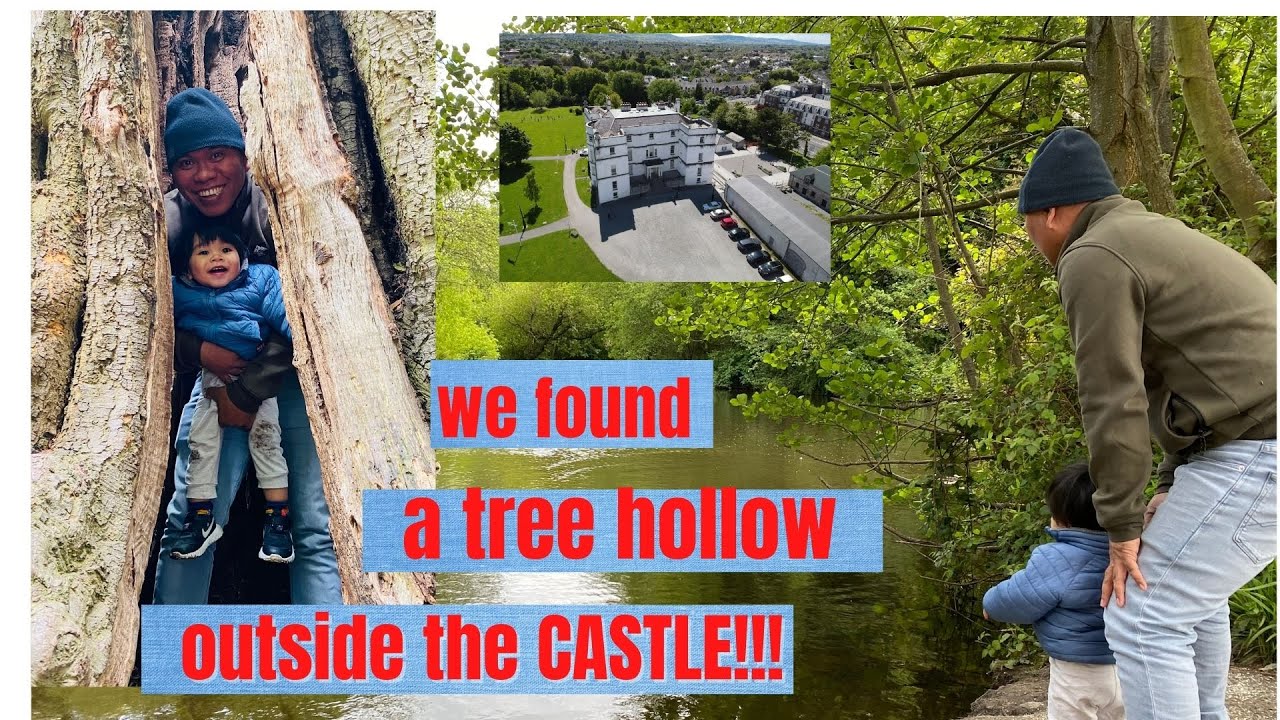 SHORT VISIT TO RATHFARNHAM CASTLE AND PARK