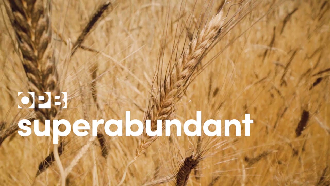 Why wheat matters to the Pacific Northwest -Superabundant S1 E5