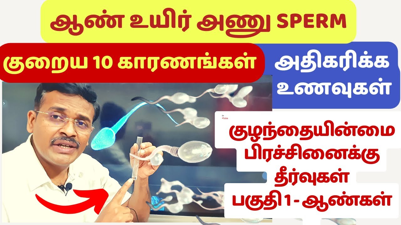 விந்து உற்பத்தி அதிகரிக்கும் உணவுகள் | foods to increase sperm count and quality in tamil