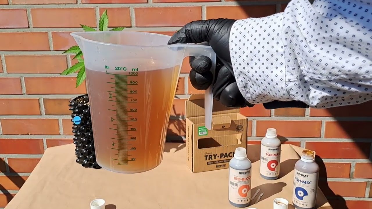 Autoflowering Anbau Outdoor: Automatic Samen Outdoor