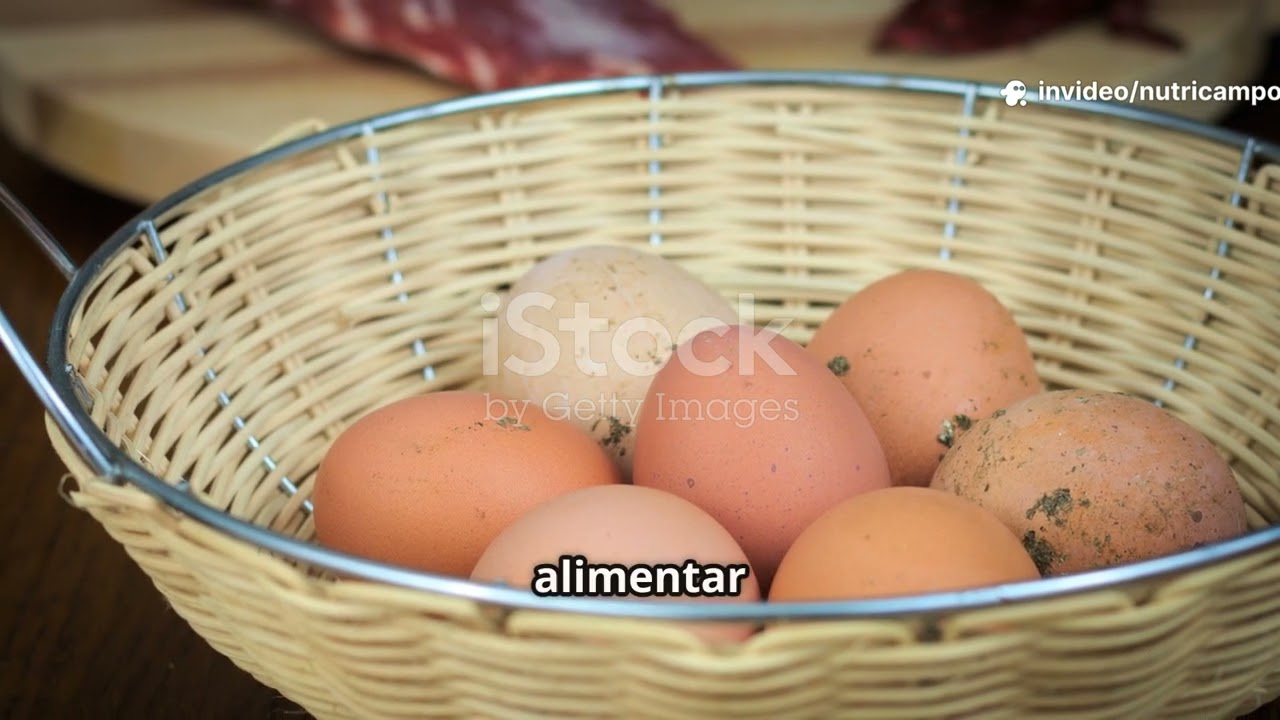 ¡Descubre el verdadero valor de NutriCampo en tu granja!