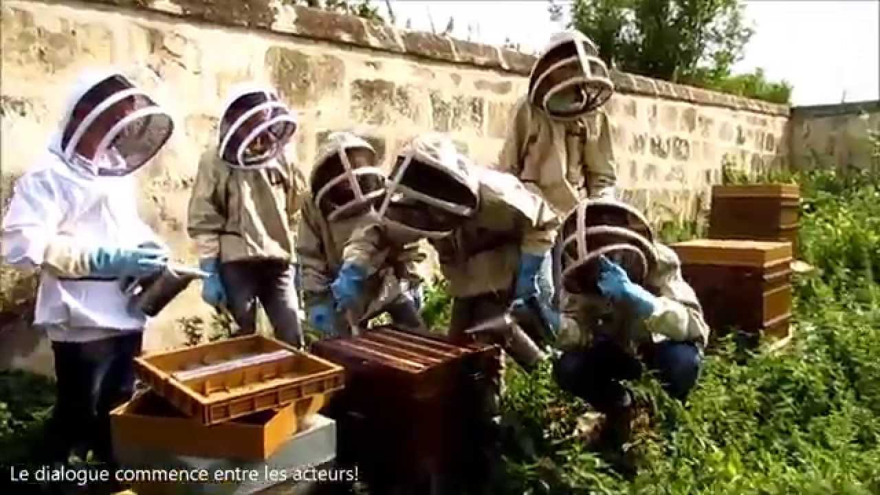 Abeille de Charles Quentin : atelier d'apiculture p&eacute;dagogique s&eacute;ance 1