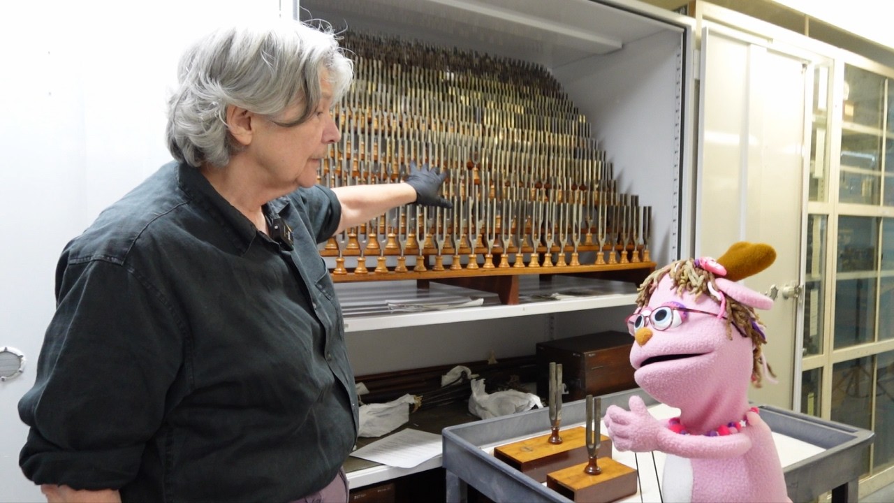 Pinky's Smithsonian Adventure: Sounds All Around