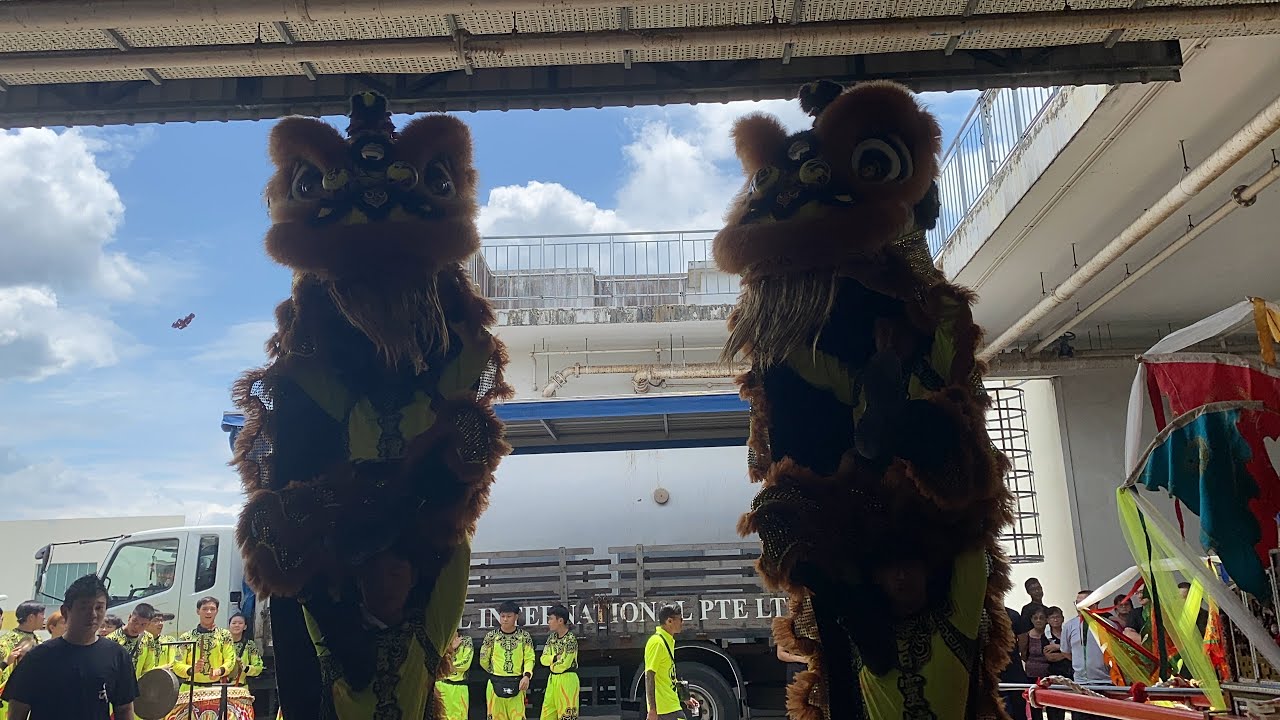 新加坡旨靈壇體育協會 Chee Leng Tuan Twin Lion Dance Cai Qing Performance on the 9/3/24