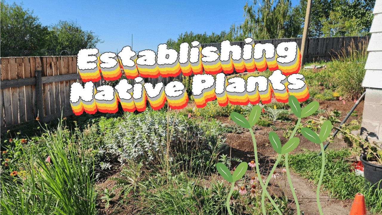 Establishing Native Plants Feb. 18 2026