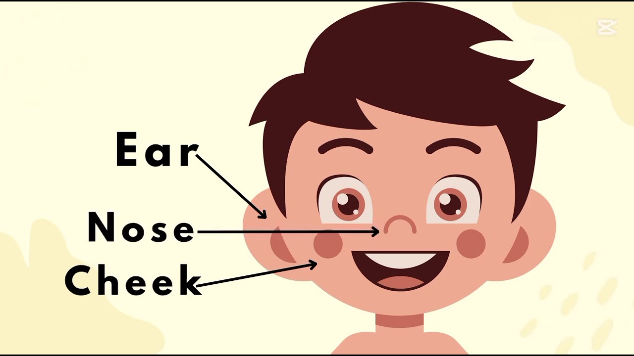 Parts of BODY | kids learning | #educational #educationalanimation #kidslearning #partsofbodynames